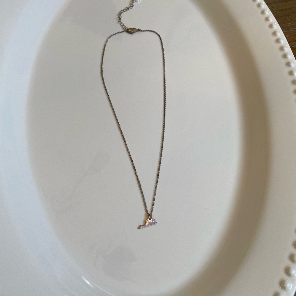 Marleylilly VA State Shape Silver Necklace